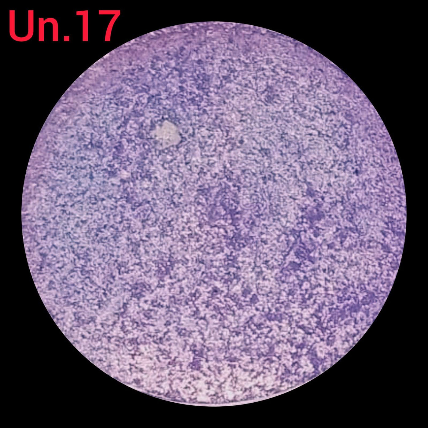 Opera Unicorn (Lavender) Long-lasting Eyeshadow