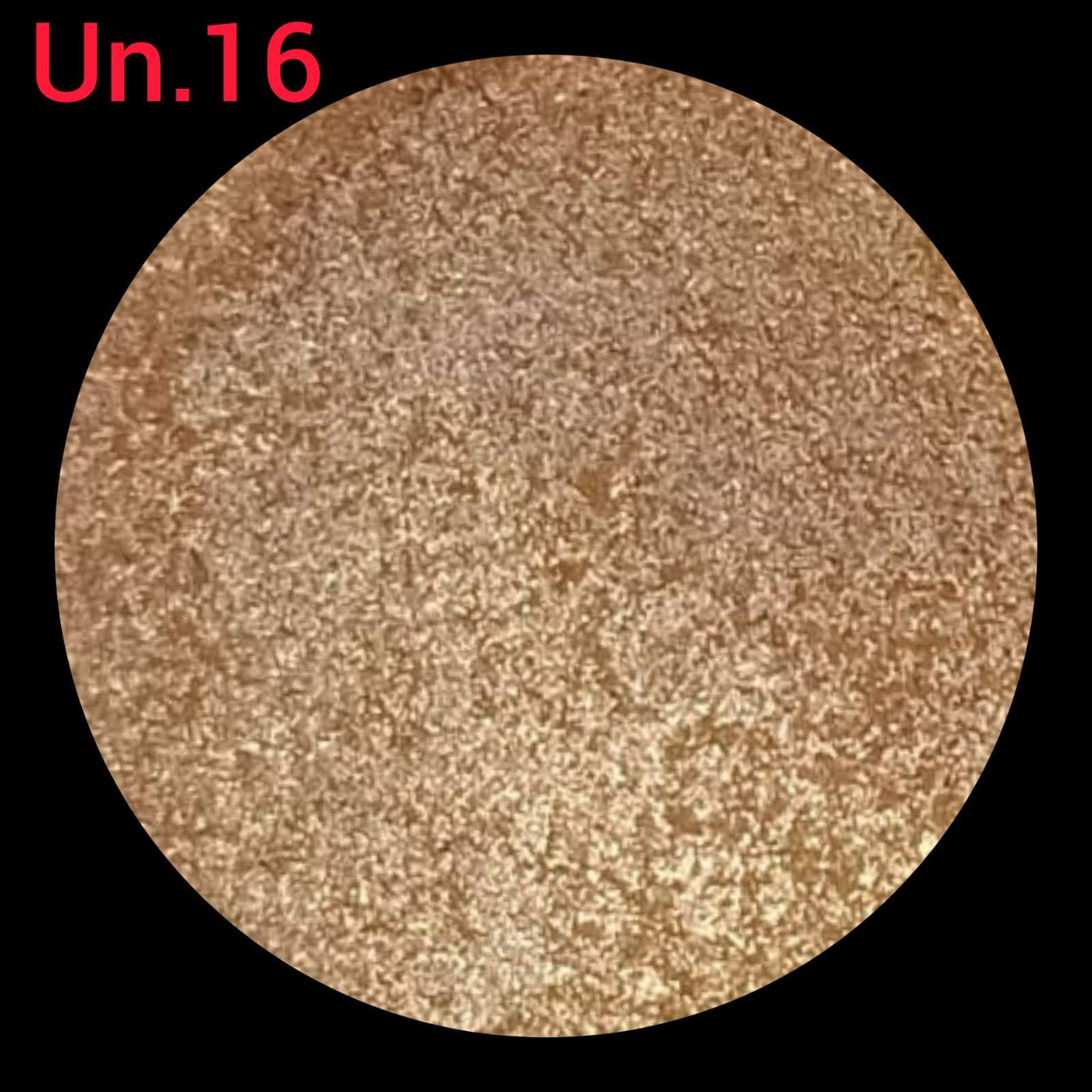 Opera Unicorn (Light Gold) Long-Lasting Eyeshadow